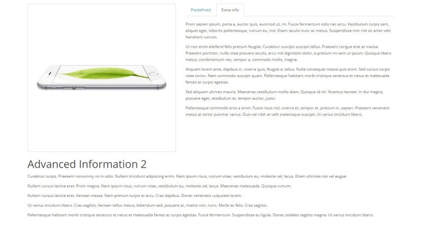 Opencart Module Advanced information pages Opencart Module Advanced information pages
